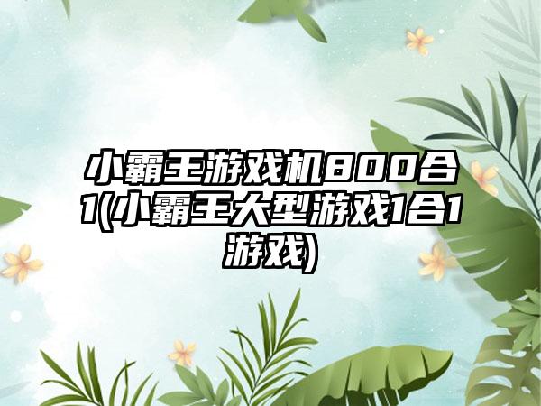 小霸王游戏机800合1(小霸王大型游戏1合1游戏)