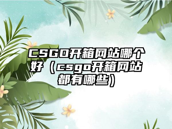 CSGO开箱网站哪个好（csgo开箱网站都有哪些）