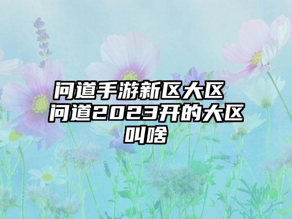 问道手游新区大区 问道2023开的大区叫啥