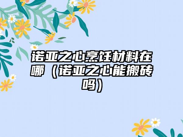 诺亚之心烹饪材料在哪（诺亚之心能搬砖吗）