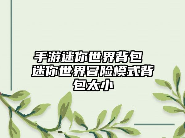 手游迷你世界背包 迷你世界冒险模式背包太小