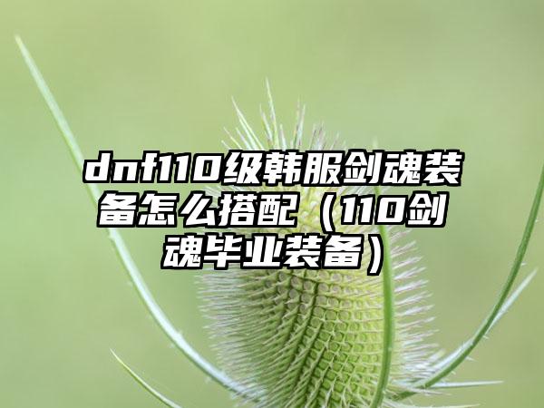 dnf110级韩服剑魂装备怎么搭配（110剑魂毕业装备）