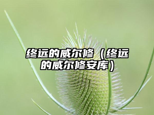 终远的威尔修（终远的威尔修安库）