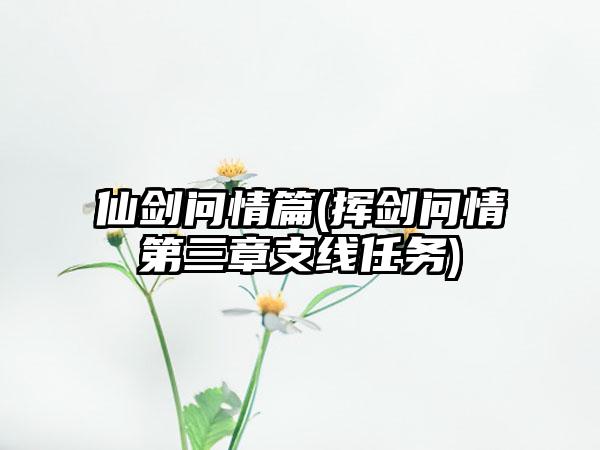 仙剑问情篇(挥剑问情第三章支线任务)