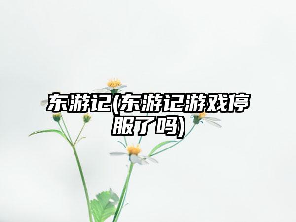 东游记(东游记游戏停服了吗)