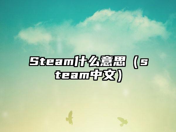 Steam什么意思（steam中文）