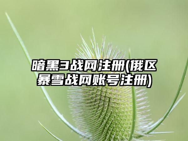 暗黑3战网注册(俄区暴雪战网账号注册)