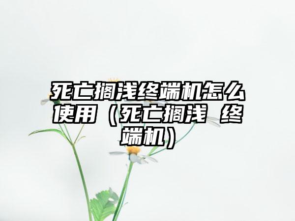 可双人玩的单机游戏