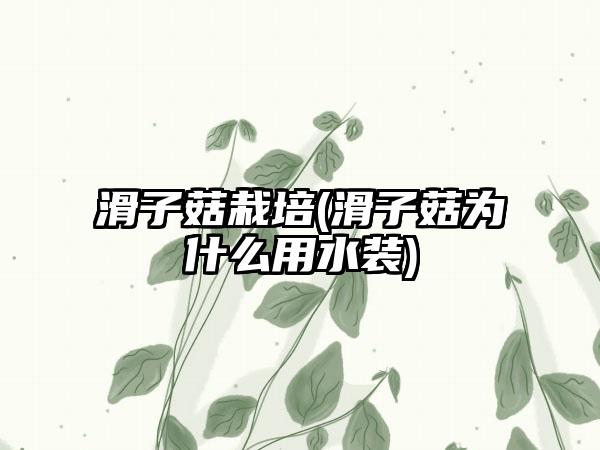 滑子菇栽培(滑子菇为什么用水装)