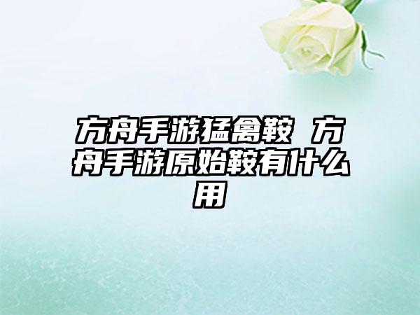 方舟手游猛禽鞍 方舟手游原始鞍有什么用