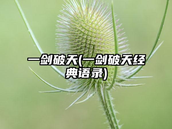一剑破天(一剑破天经典语录)