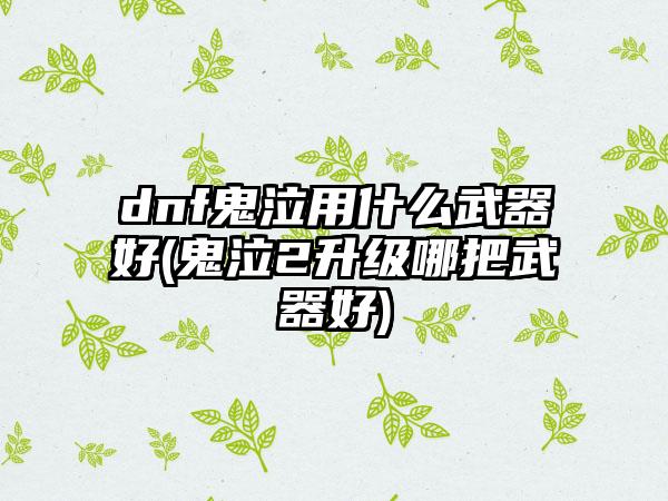 dnf鬼泣用什么武器好(鬼泣2升级哪把武器好)