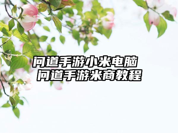 问道手游小米电脑 问道手游米商教程