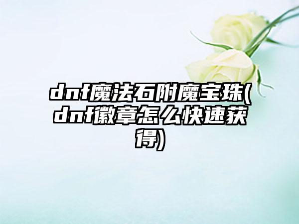 dnf魔法石附魔宝珠(dnf徽章怎么快速获得)