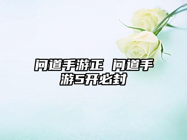 问道手游正 问道手游5开必封