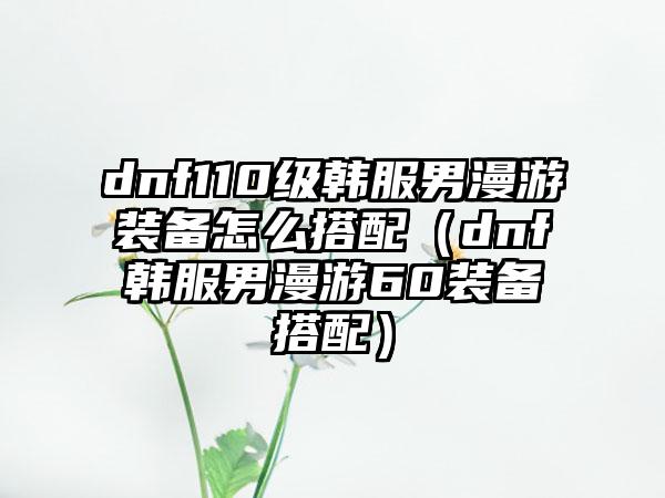 dnf110级韩服男漫游装备怎么搭配（dnf韩服男漫游60装备搭配）