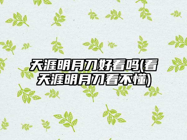 天涯明月刀好看吗(看天涯明月刀看不懂)