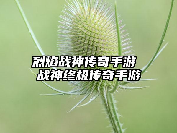 烈焰战神传奇手游 战神终极传奇手游