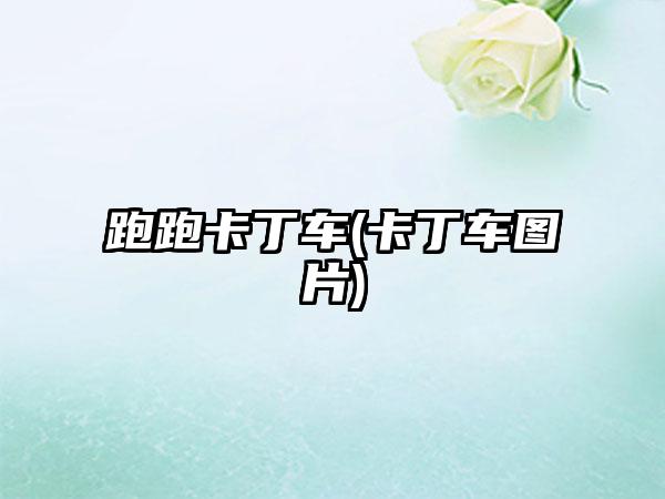 跑跑卡丁车(卡丁车图片)