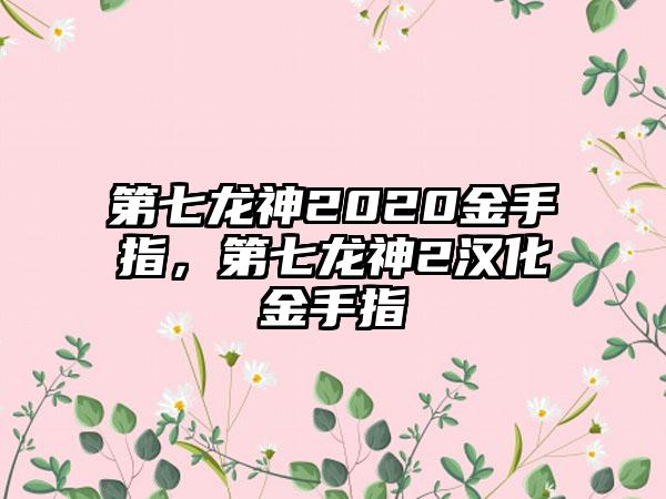第七龙神2020金手指，第七龙神2汉化金手指