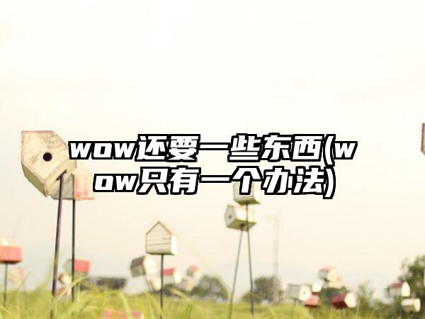 wow还要一些东西(wow只有一个办法)