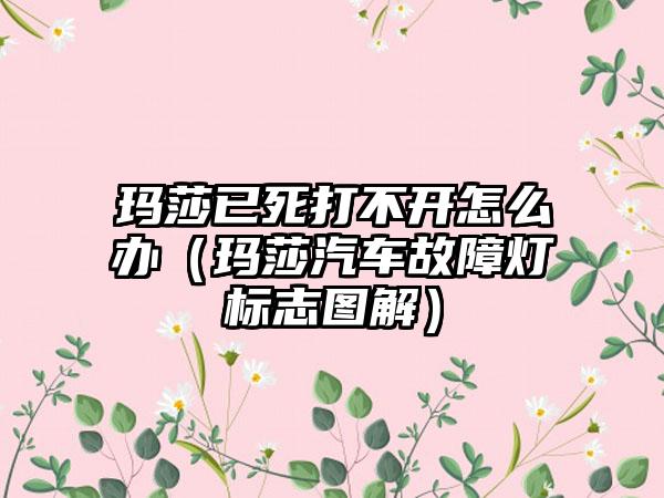 玛莎已死打不开怎么办（玛莎汽车故障灯标志图解）