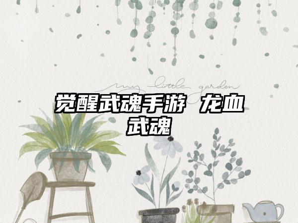 觉醒武魂手游 龙血武魂