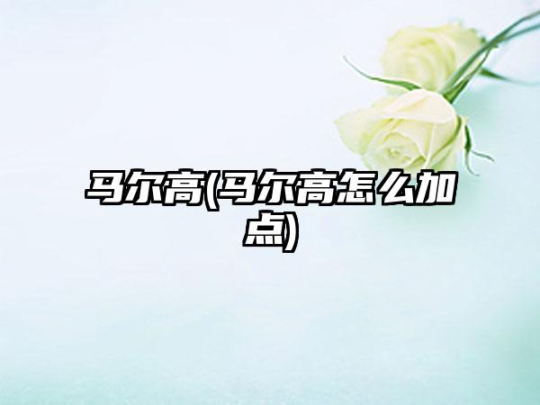 马尔高(马尔高怎么加点)