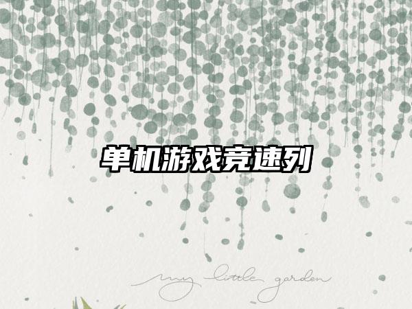 单机游戏竞速列