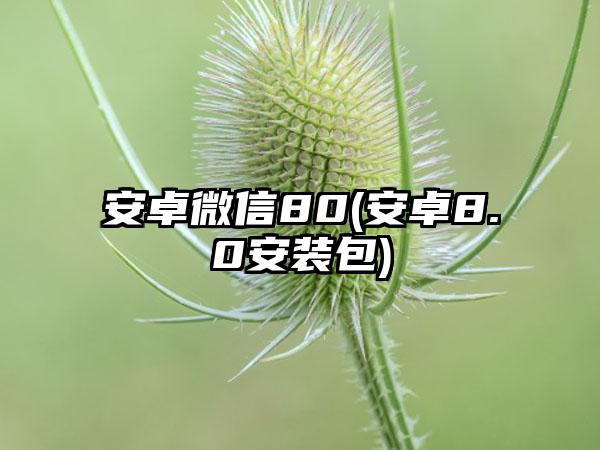 安卓微信80(安卓8.0安装包)