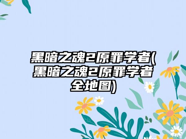 黑暗之魂2原罪学者(黑暗之魂2原罪学者全地图)