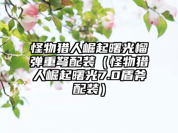 怪物猎人崛起曙光榴弹重弩配装（怪物猎人崛起曙光7.0盾斧配装）