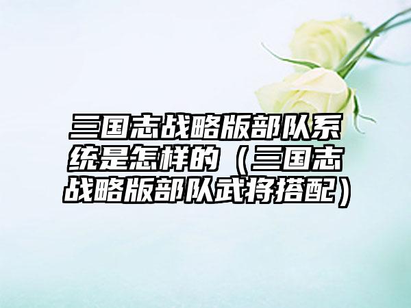 三国志战略版部队系统是怎样的（三国志战略版部队武将搭配）