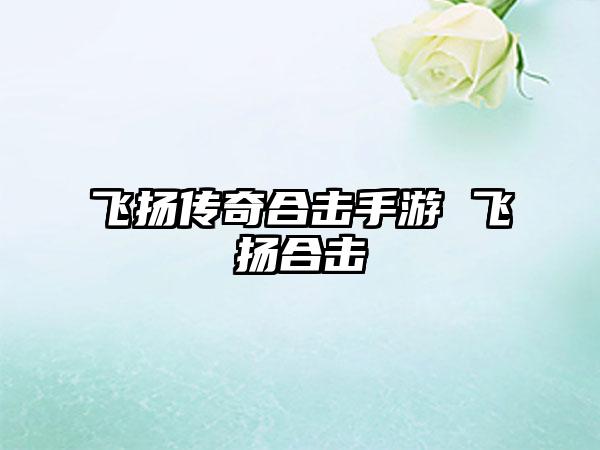 飞扬传奇合击手游 飞扬合击