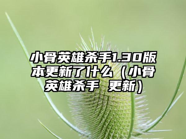小骨英雄杀手1.30版本更新了什么（小骨英雄杀手 更新）