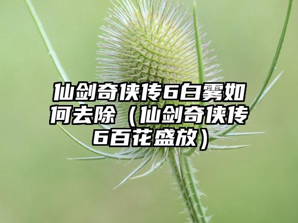 仙剑奇侠传6白雾如何去除（仙剑奇侠传6百花盛放）