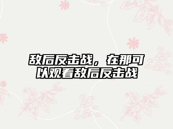 敌后反击战，在那可以观看敌后反击战