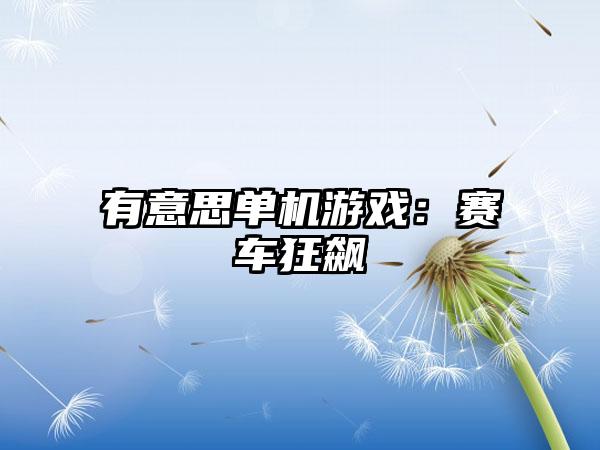 有意思单机游戏：赛车狂飙