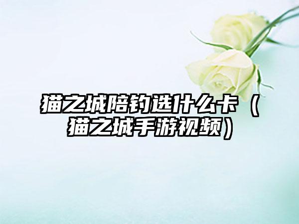 猫之城陪钓选什么卡（猫之城手游视频）