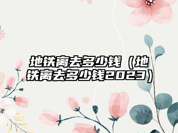 地铁离去多少钱（地铁离去多少钱2023）