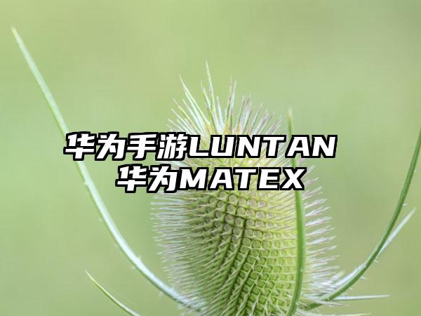 华为手游LUNTAN 华为MATEX
