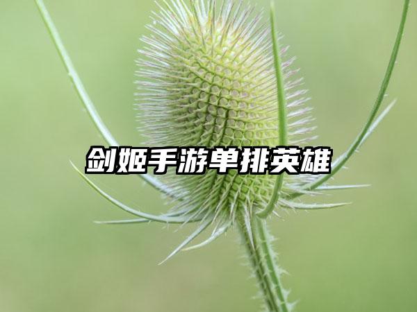 剑姬手游单排英雄