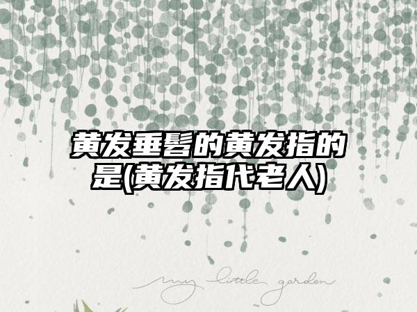 我国单机游戏史