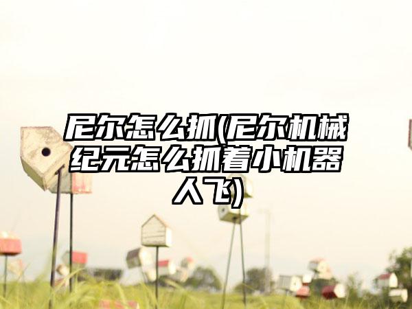 尼尔怎么抓(尼尔机械纪元怎么抓着小机器人飞)