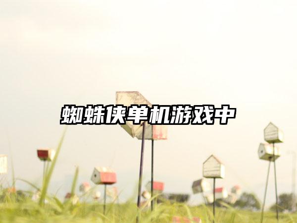 蜘蛛侠单机游戏中