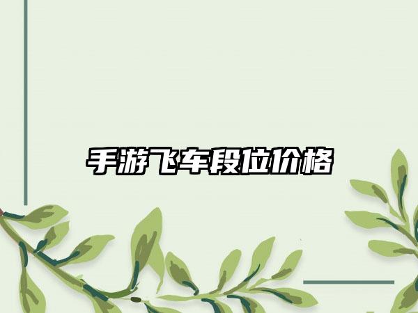 手游飞车段位价格