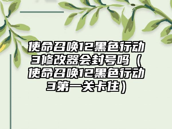 使命召唤12黑色行动3修改器会封号吗（使命召唤12黑色行动3第一关卡住）