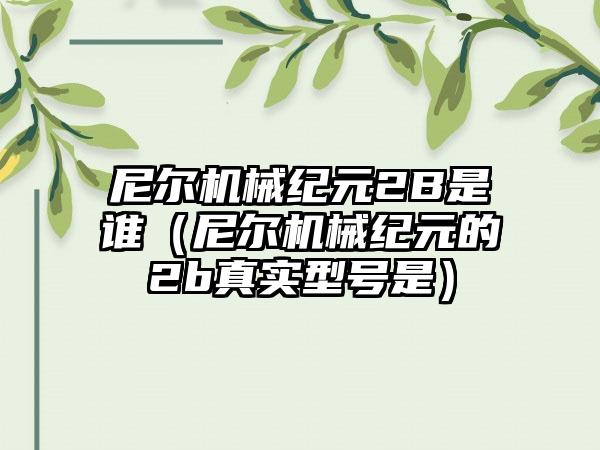 尼尔机械纪元2B是谁（尼尔机械纪元的2b真实型号是）
