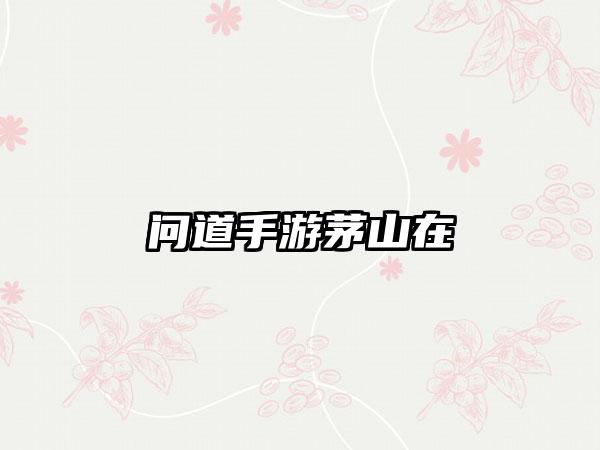 问道手游茅山在