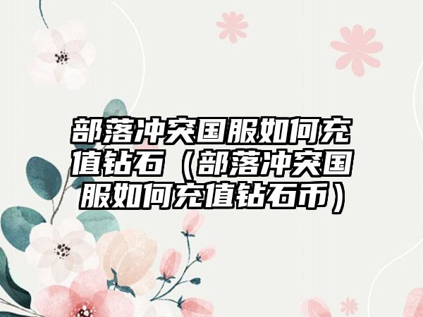 部落冲突国服如何充值钻石（部落冲突国服如何充值钻石币）